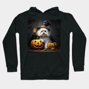 Halloween Maltense in Hat Hoodie